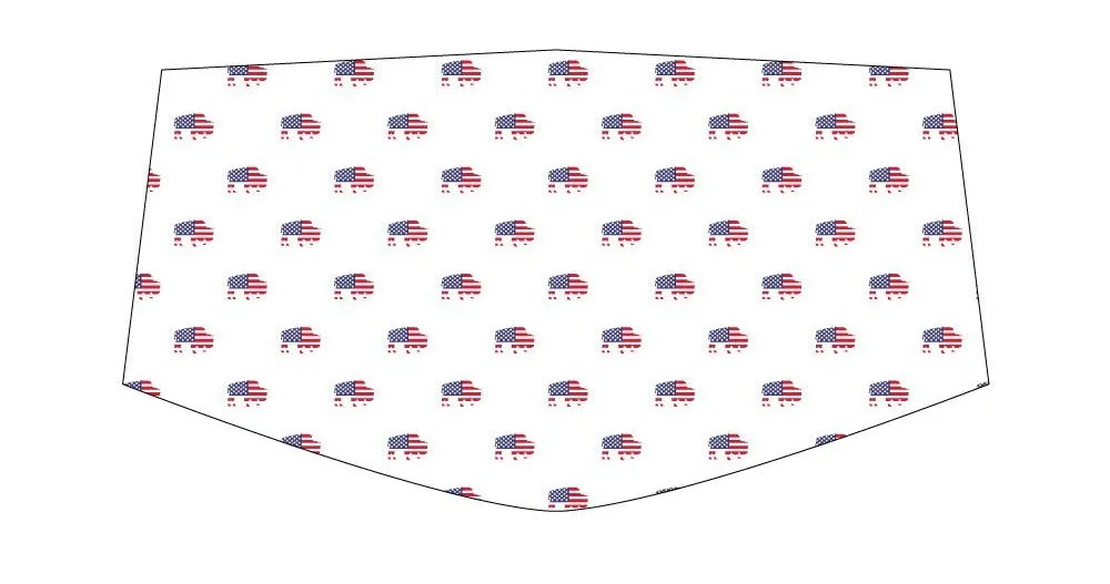 BFLO Patriotic Custom 3-Layer Washable Face Masks