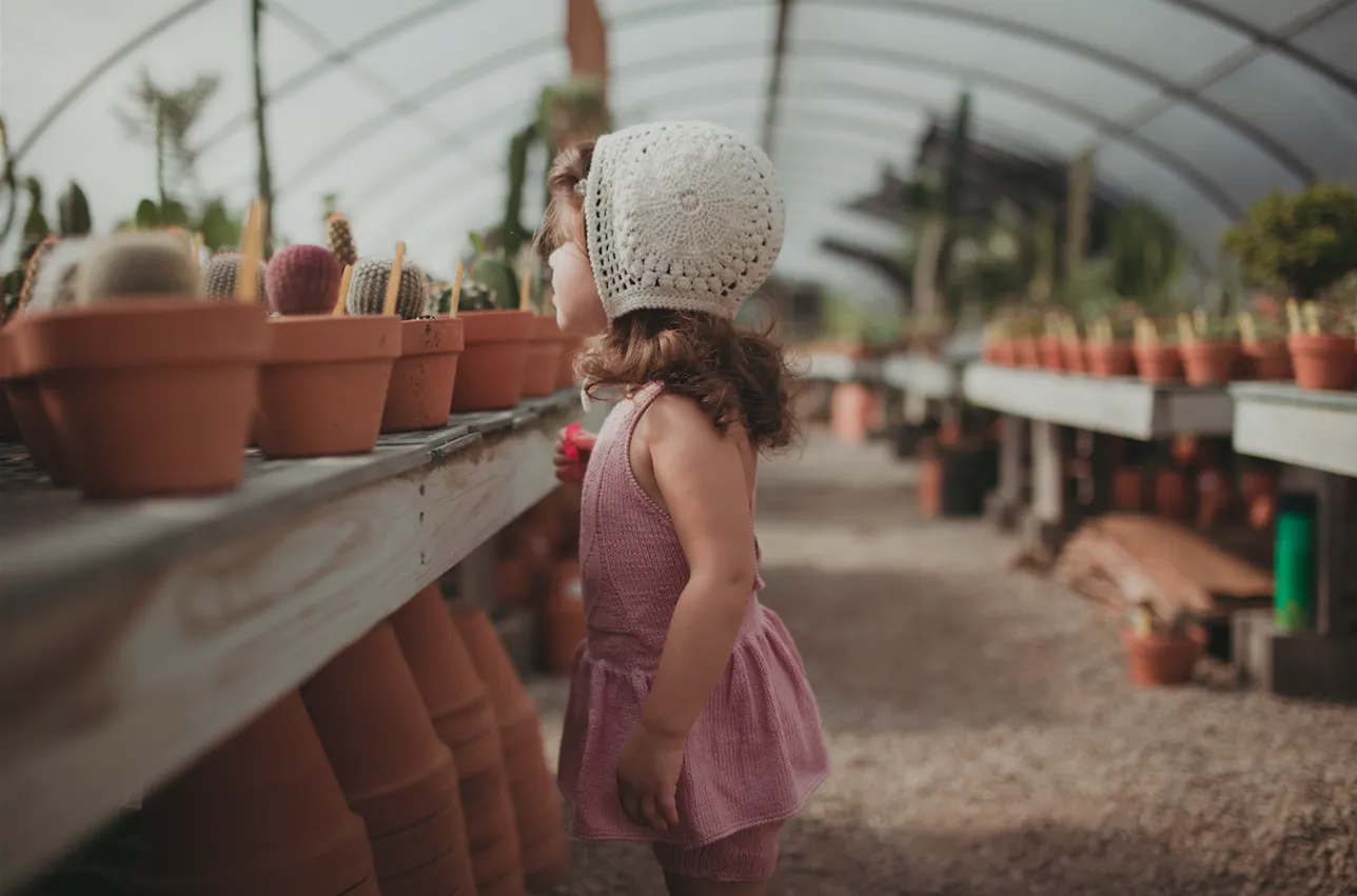 Lace Bonnet