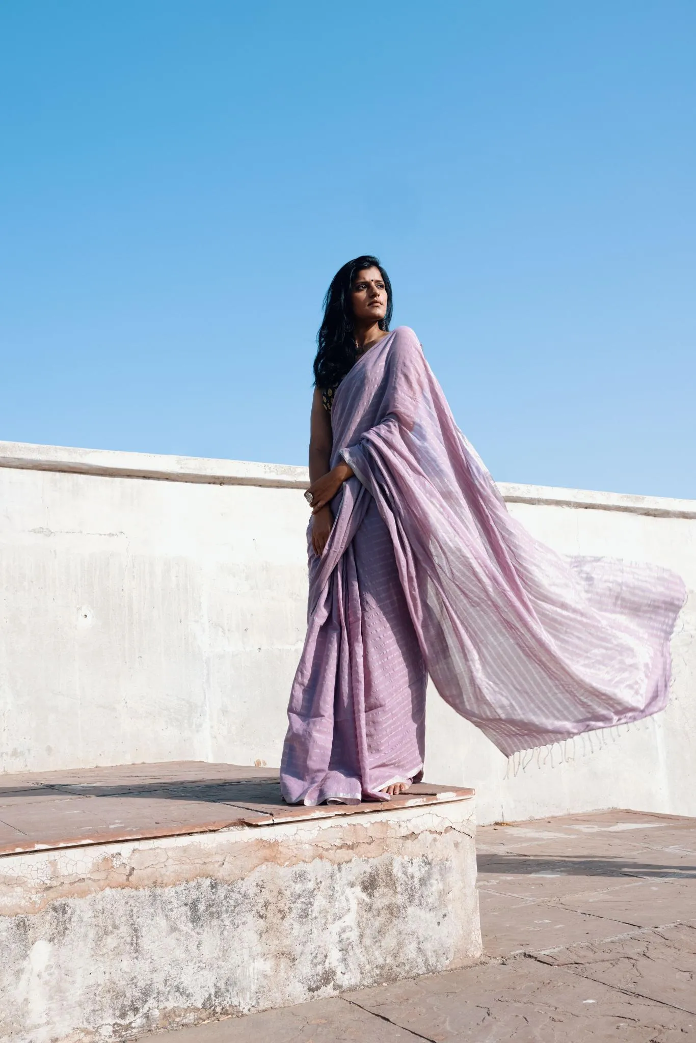 Sitara - Lavender zari by cotton saree